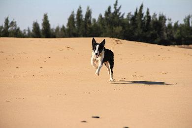 恐怖名作《瘦长鬼影》官方开设倒计时网站 或迎来新作
